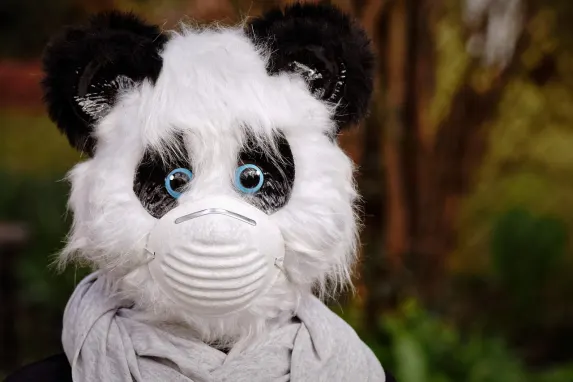 TopBet Kaszinó Támogatás